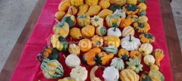 8 chambres Maison à Mamoiada, Italy No. 49830 13