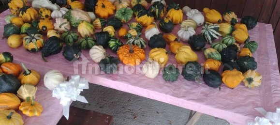 8 chambres Maison à Mamoiada, Italy No. 49830 11