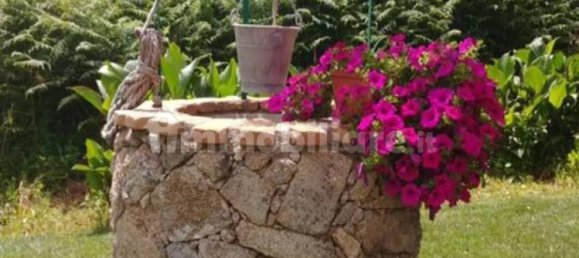 8 chambres Maison à Mamoiada, Italy No. 49830 42