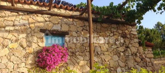 8 chambres Maison à Mamoiada, Italy No. 49830 45