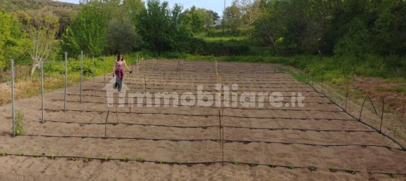 8 chambres Maison à Mamoiada, Italy No. 49830 8