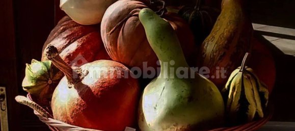 8 chambres Maison à Mamoiada, Italy No. 49830 15