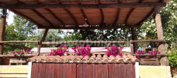 8 chambres Maison à Mamoiada, Italy No. 49830 23