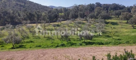 8 chambres Maison à Mamoiada, Italy No. 49830 24