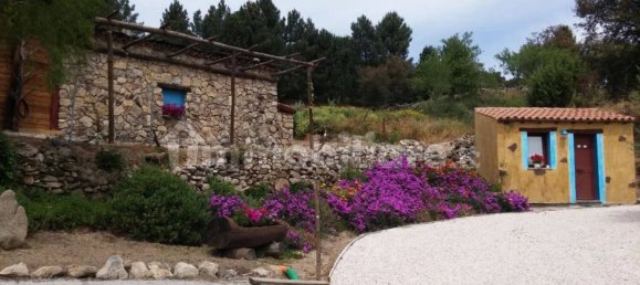 8 chambres Maison à Mamoiada, Italy No. 49830 4