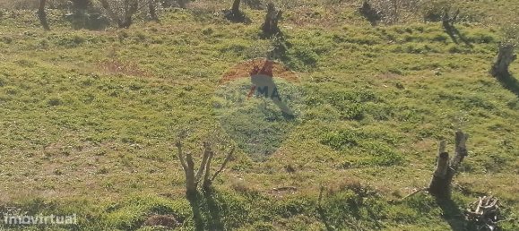 3 bedrooms House in Mondim de Basto, Portugal No. 184485 4