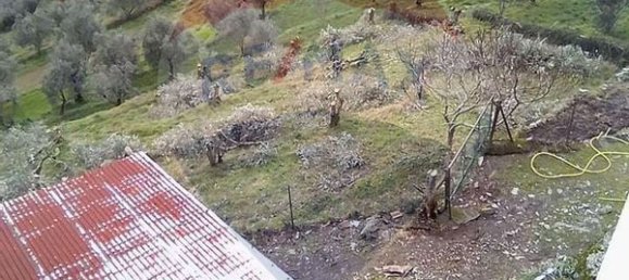 3 bedrooms House in Mondim de Basto, Portugal No. 184485 13