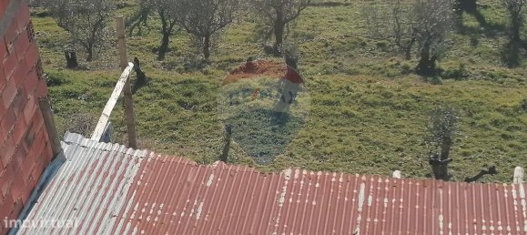 3 bedrooms House in Mondim de Basto, Portugal No. 184485 3