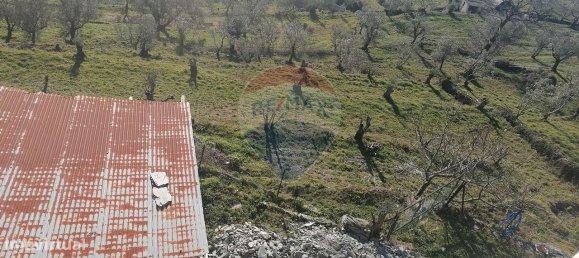 3 bedrooms House in Mondim de Basto, Portugal No. 184485 2