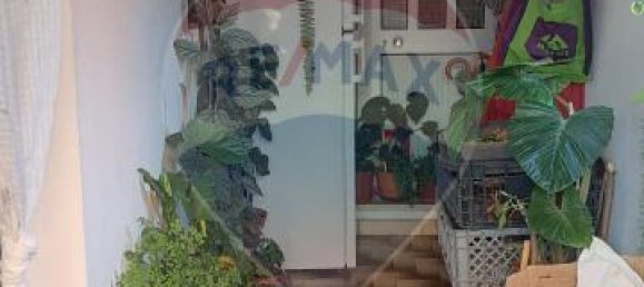 3 bedrooms House in Mondim de Basto, Portugal No. 184485 19