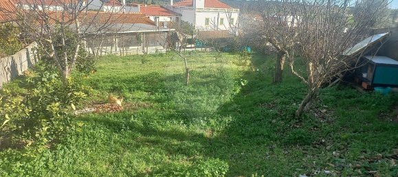 4 bedrooms House in Sao Cristovao, Portugal No. 28534 15