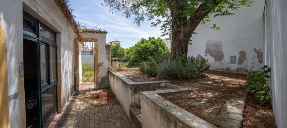 7 bedrooms House in Evora, Portugal No. 133367 27