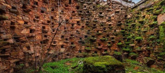 9 bedrooms House in Santa Comba de Rossas, Portugal No. 173086 36