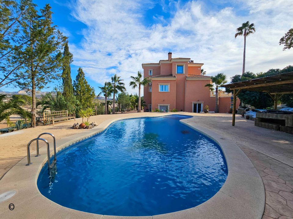 6 غرف نوم فيلا في Monovar, Spain رقم 170279