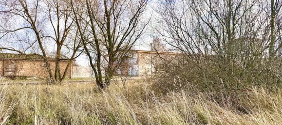 Terrain à Vorpommern-Greifswald, Germany No. 212416 5