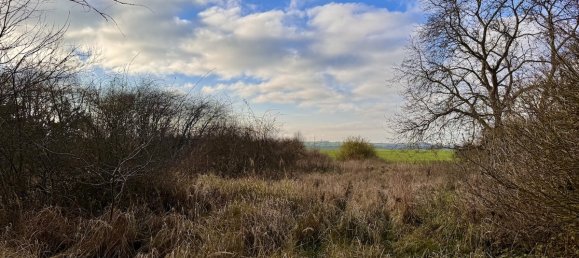Terrain à Vorpommern-Greifswald, Germany No. 212416 3