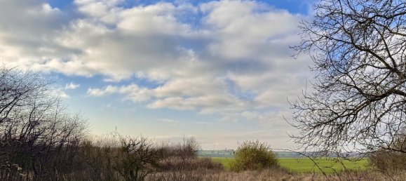 Terrain à Vorpommern-Greifswald, Germany No. 212416 4