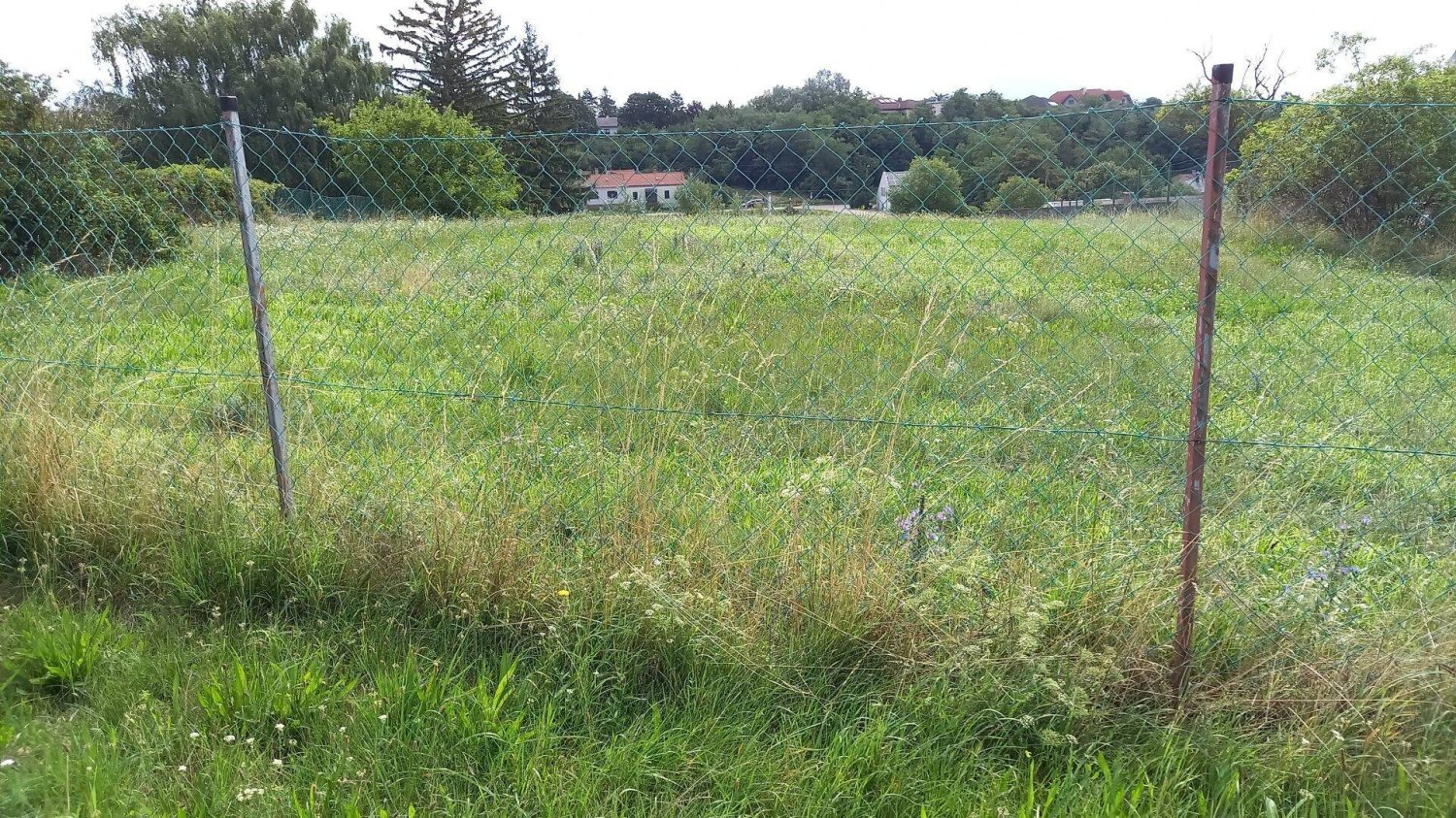 1133m² Land in Engelhartstetten, Austria No. 201639