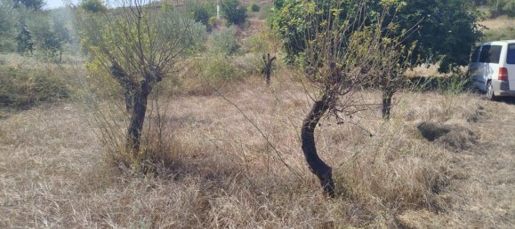 Terrain à Cartagena, Spain 5000m² No. 184511 9