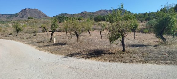 Terrain à Cartagena, Spain 5000m² No. 184511 4