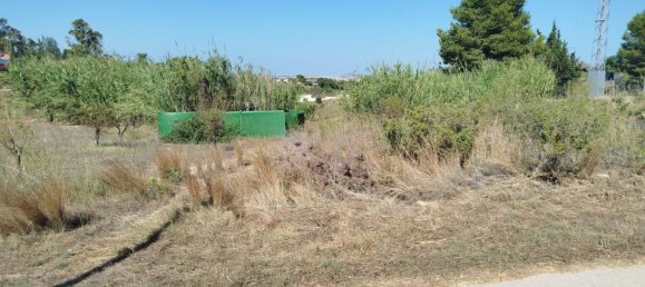 Terrain à Cartagena, Spain 5000m² No. 184511 5