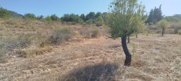 Terrain à Cartagena, Spain 5000m² No. 184511 3
