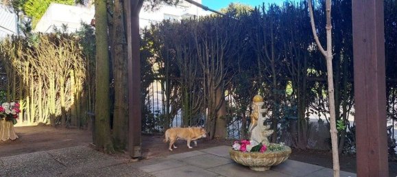 Дом с 3 комнатами в Саар, Германия № 52948 6