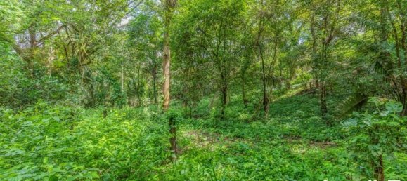 Земельный участок в Никоя, Коста-Рика № 1760 2