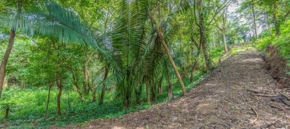 Земельный участок в Никоя, Коста-Рика № 1760 3