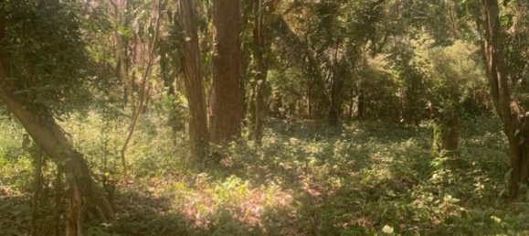 Земельный участок в Никоя, Коста-Рика № 1760 4