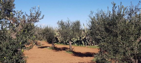 5 Schlafzimmer Villa in Galatina, Italy, Nr. 369808 23