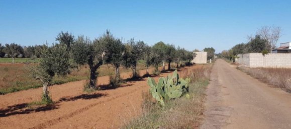 5 Schlafzimmer Villa in Galatina, Italy, Nr. 369808 21