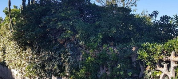 5 Schlafzimmer Villa in Galatina, Italy, Nr. 369808 15