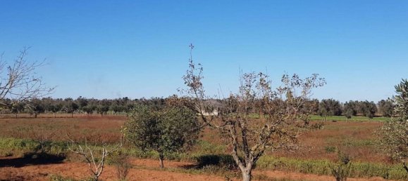 5 Schlafzimmer Villa in Galatina, Italy, Nr. 369808 22