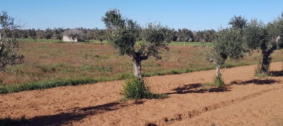 5 Schlafzimmer Villa in Galatina, Italy, Nr. 369808 20