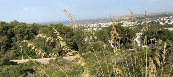 Земельный участок 670м² в Эс-Меркадаль, Испания № 1949 4