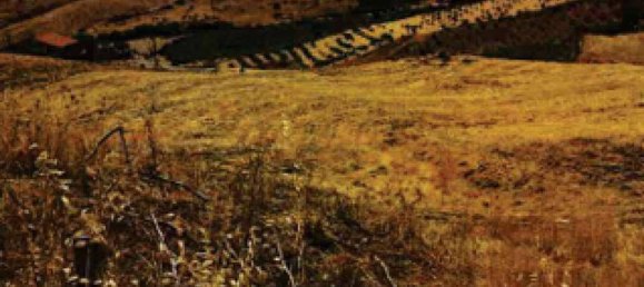 Земельный участок 610м² в Троина, Италия № 266754 3