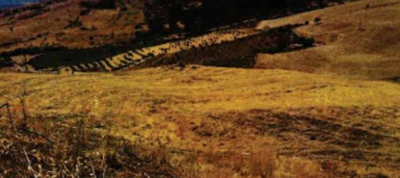 Земельный участок 610м² в Троина, Италия № 266754 2