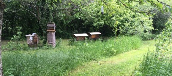 2 chambres Maison à Brienne-le-Château, France No. 277029 17