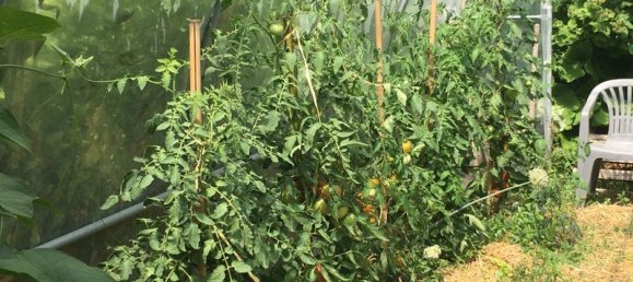 2 chambres Maison à Brienne-le-Château, France No. 277029 14