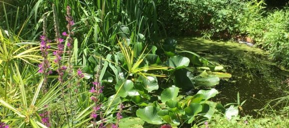 2 chambres Maison à Brienne-le-Château, France No. 277029 20