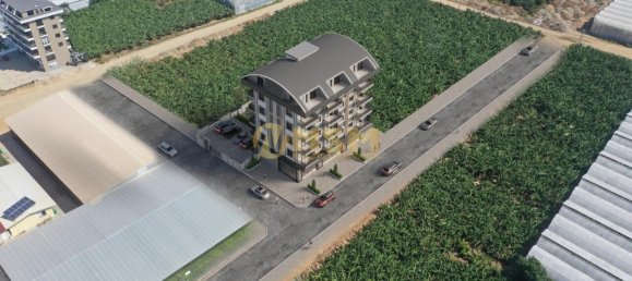 Apartment 1+1 in Alanya, Turkey No. 31045 10