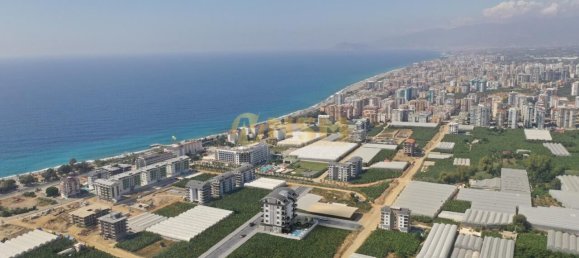 Apartment 1+1 in Alanya, Turkey No. 31045 13
