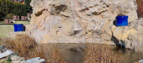 6غرفة منزل في Klausen-Leopoldsdorf, Austria رقم 160502 10