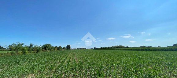 Studio in Fontaniva, Italy No. 7865 5