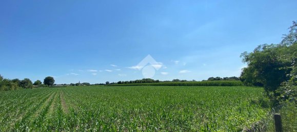 Studio in Fontaniva, Italy No. 7865 4