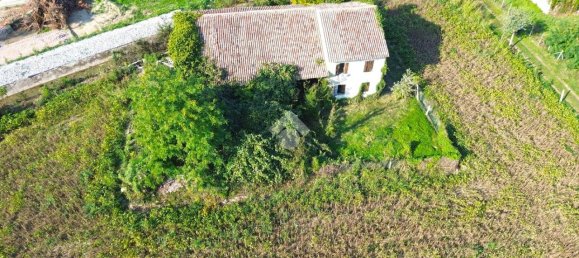 Studio in Fontaniva, Italy No. 7865 9