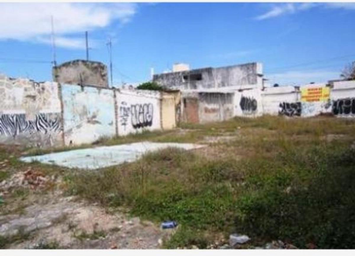  Land in Veracruz, Mexico No. 205413