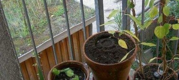 Estúdio em Hamburg-Mitte, Germany N.º 277815 5