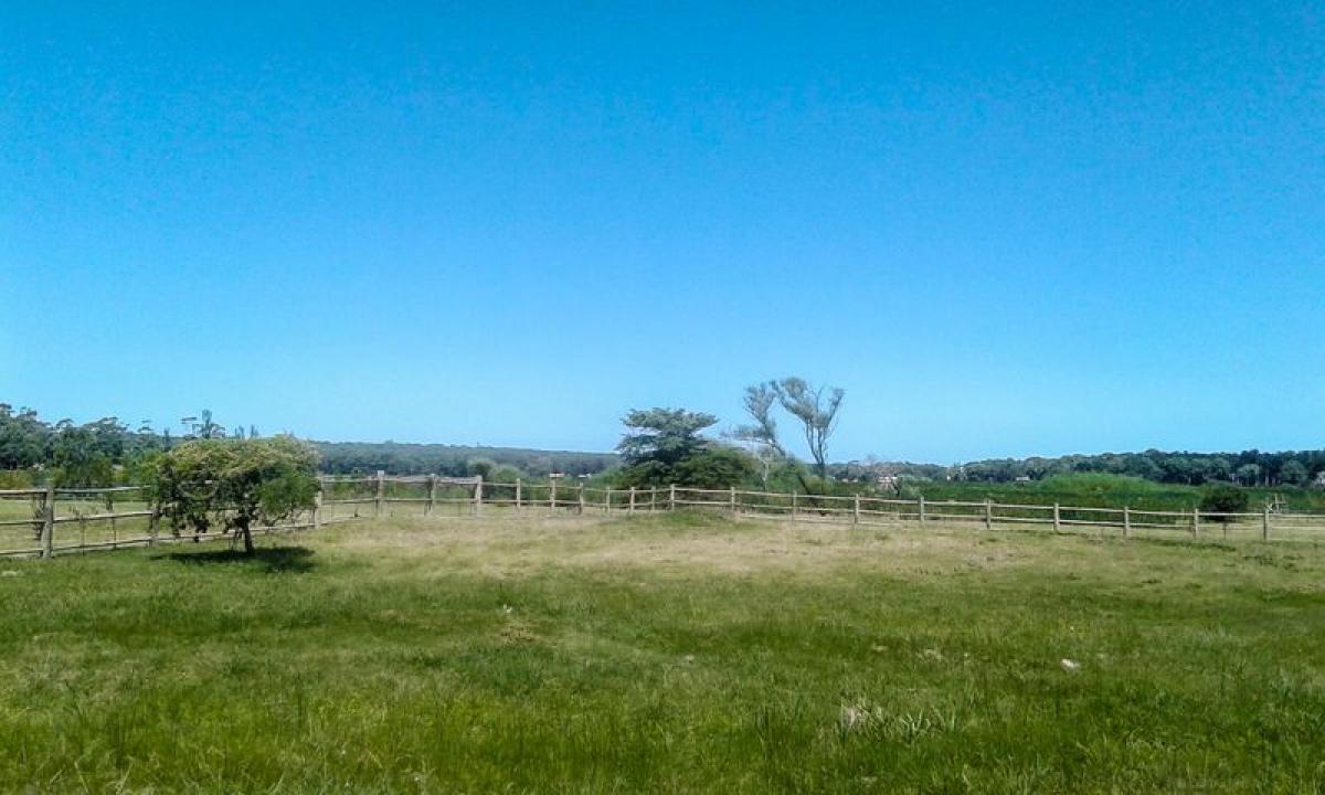 Земельный участок в Мальдонадо, Уругвай № 15309